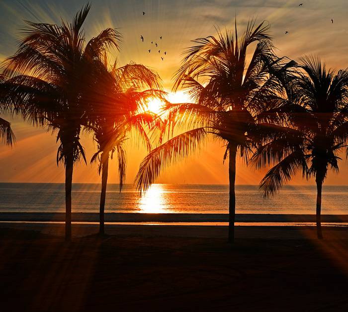 Puesta de Sol de Santa Ponsa - TRH Jardín del Mar - Puesta de Sol de Santa Ponsa - TRH Jardín del Mar -